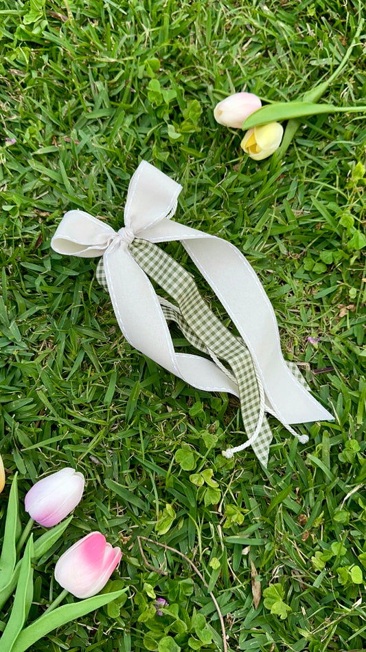 Ribbon Journals | Anne